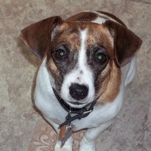 Meet your Posher, Scott